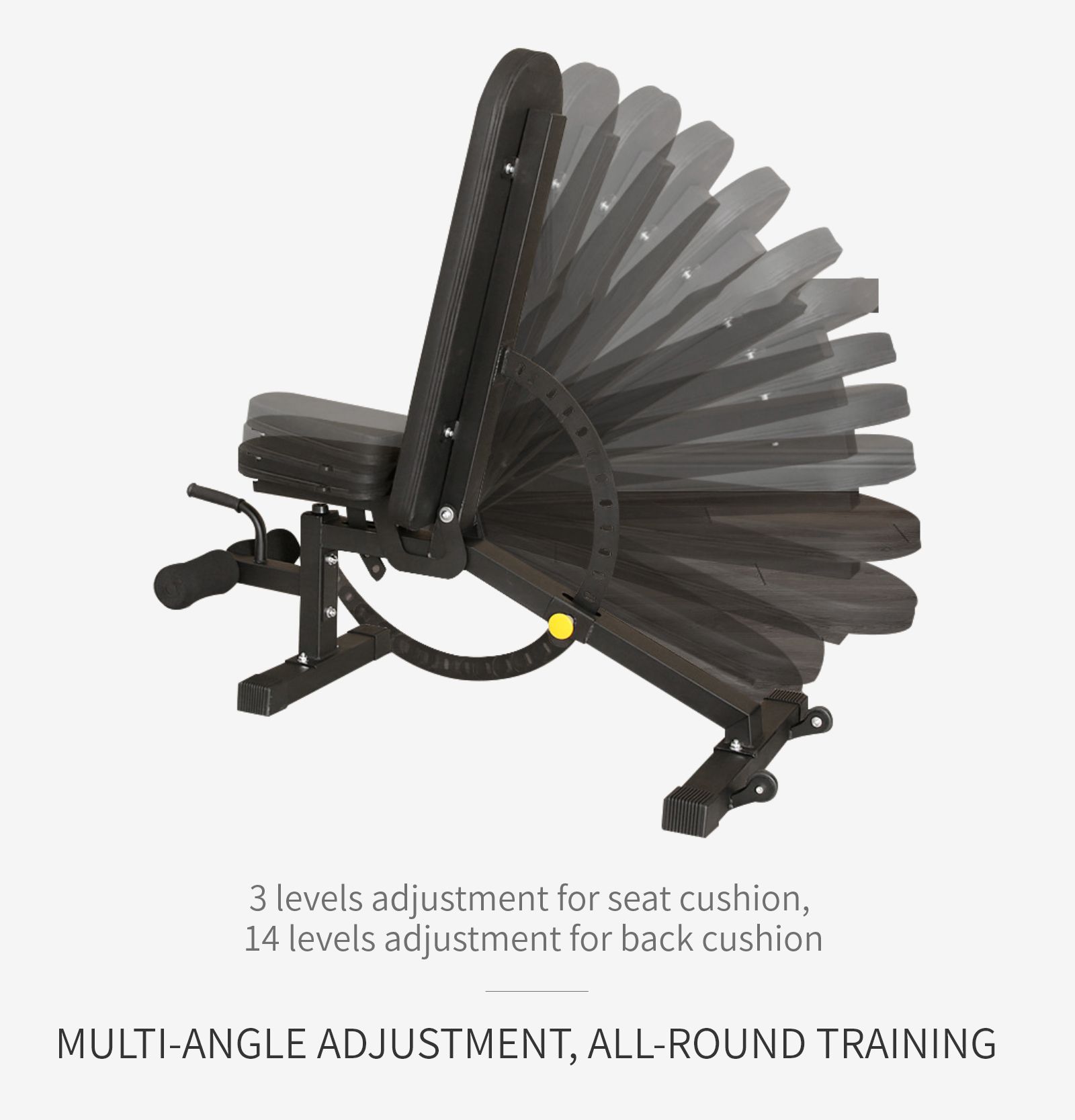 Banco di manubri multifunzionale Banco di manubri multifunzionale