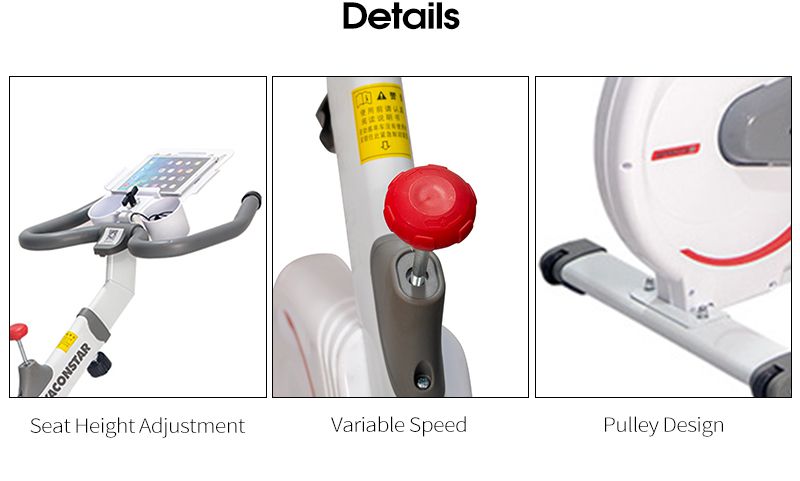 Pacchetto completo che si modella il ciclismo dinamico