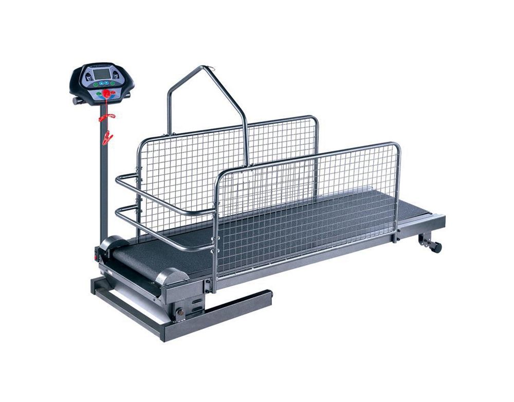 Tapis roulant per cani da compagnia