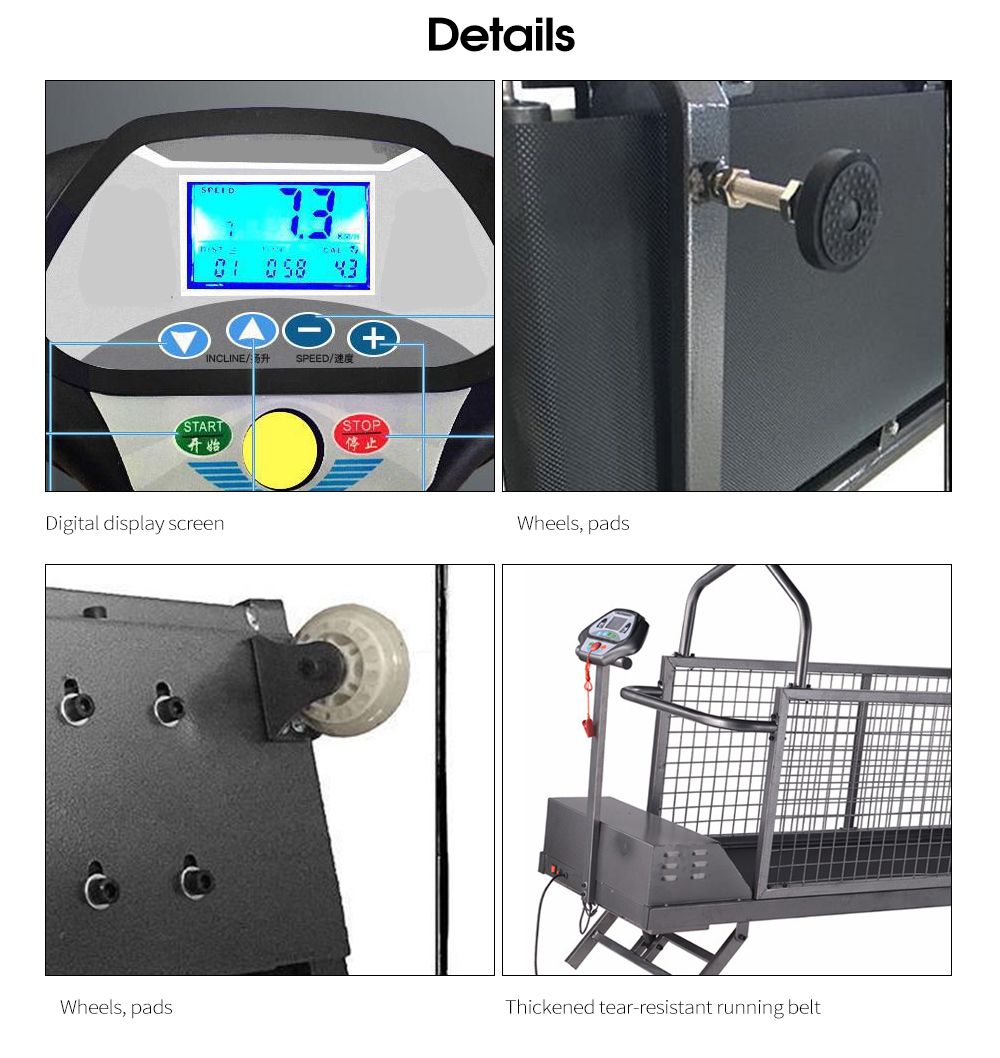 Tapis roulant per cani da compagnia