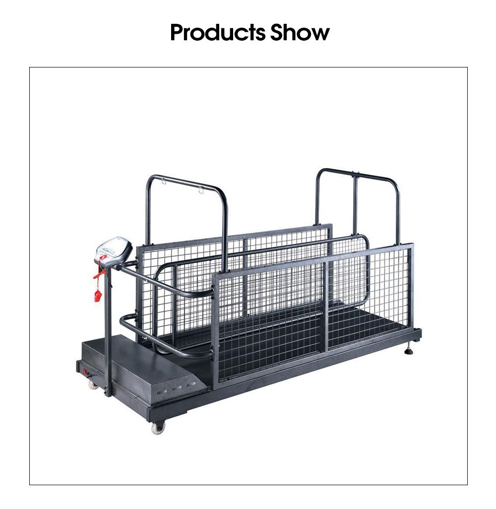 Tapis roulant per cani da compagnia