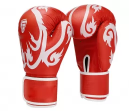 Guanti da allenamento per boxe professionisti