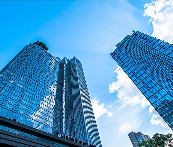 Informazioni sulla compagnia