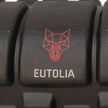 Logo e marchi personalizzati di rulli in schiuma