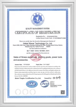 ISO 9001 Sistema di gestione della qualità