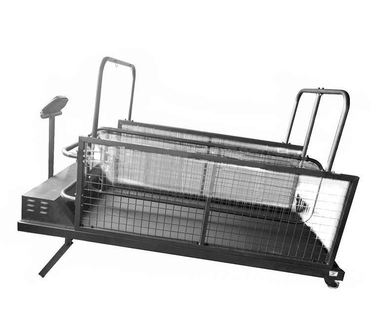 Miglior cane da corsa per cani che corre il tapis roulant