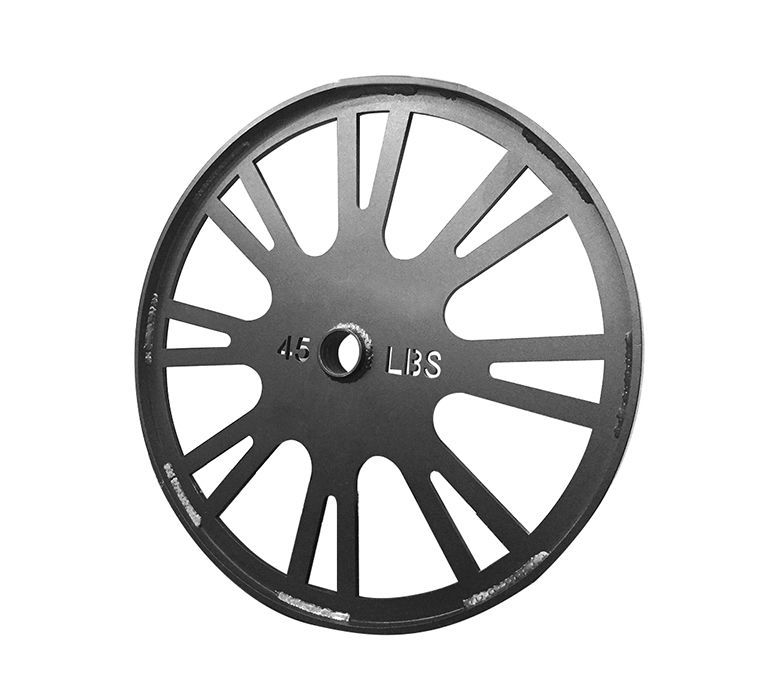 Apollo Bumper Weight Plate