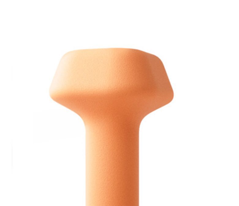 Dumbbell trapezoidale immerso in plastica